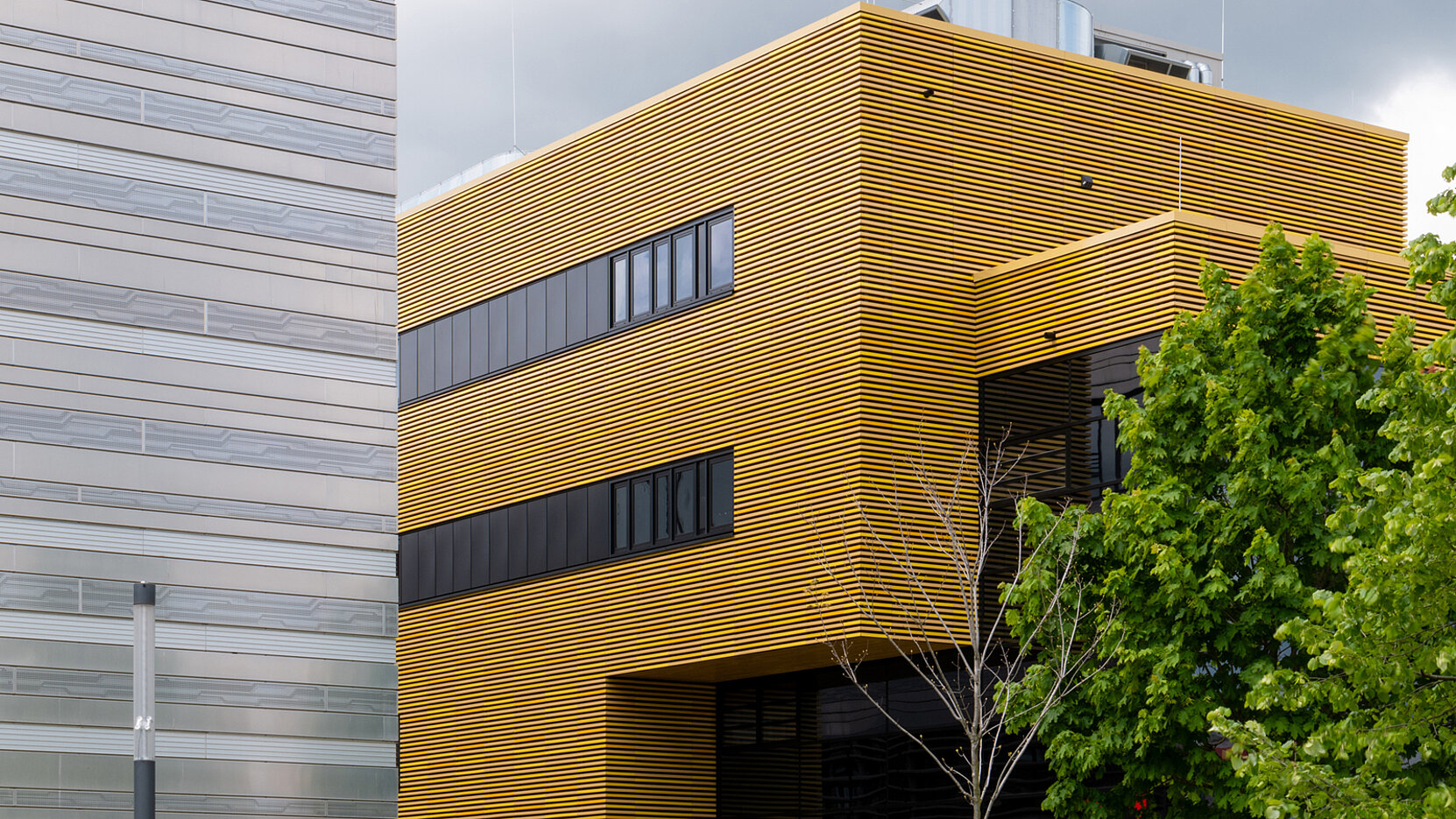 Schoeck_ZDD-Duesseldorf_5_16-9.jpg