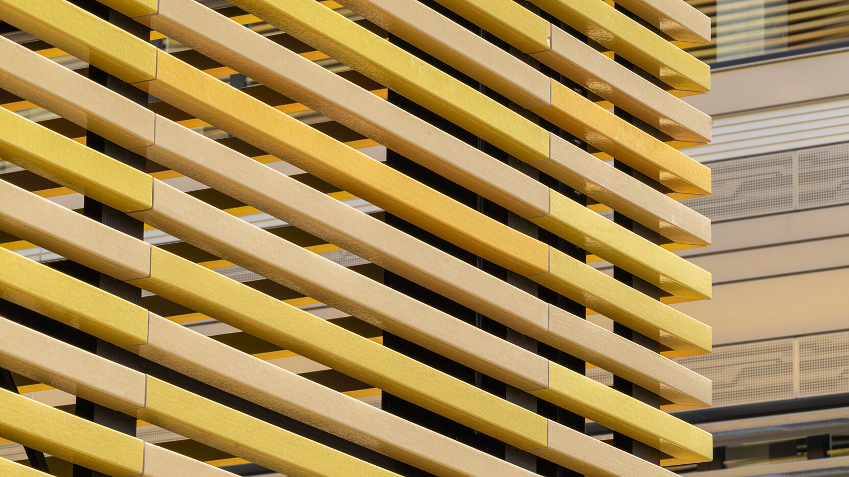 Schoeck_ZDD-Duesseldorf_3_16-9.jpg